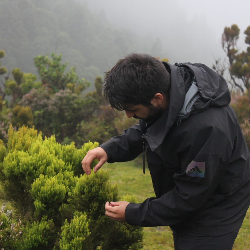 Hand in Hand: A Community Herbarium of the Azores is underway